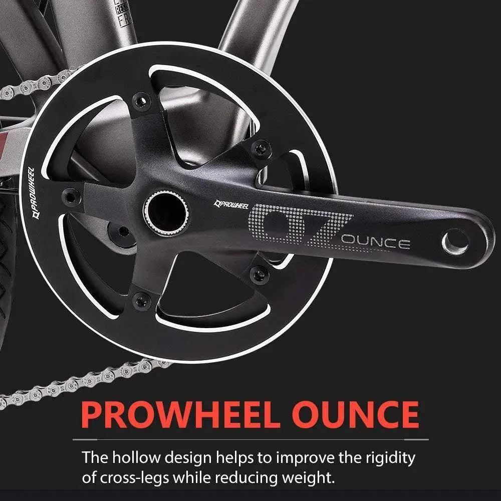 20 Inch Z3 Carbon Folding Bike 9S