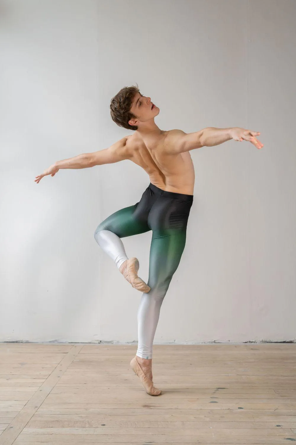Men's Po Delta Dance Tights - Forest Ombré