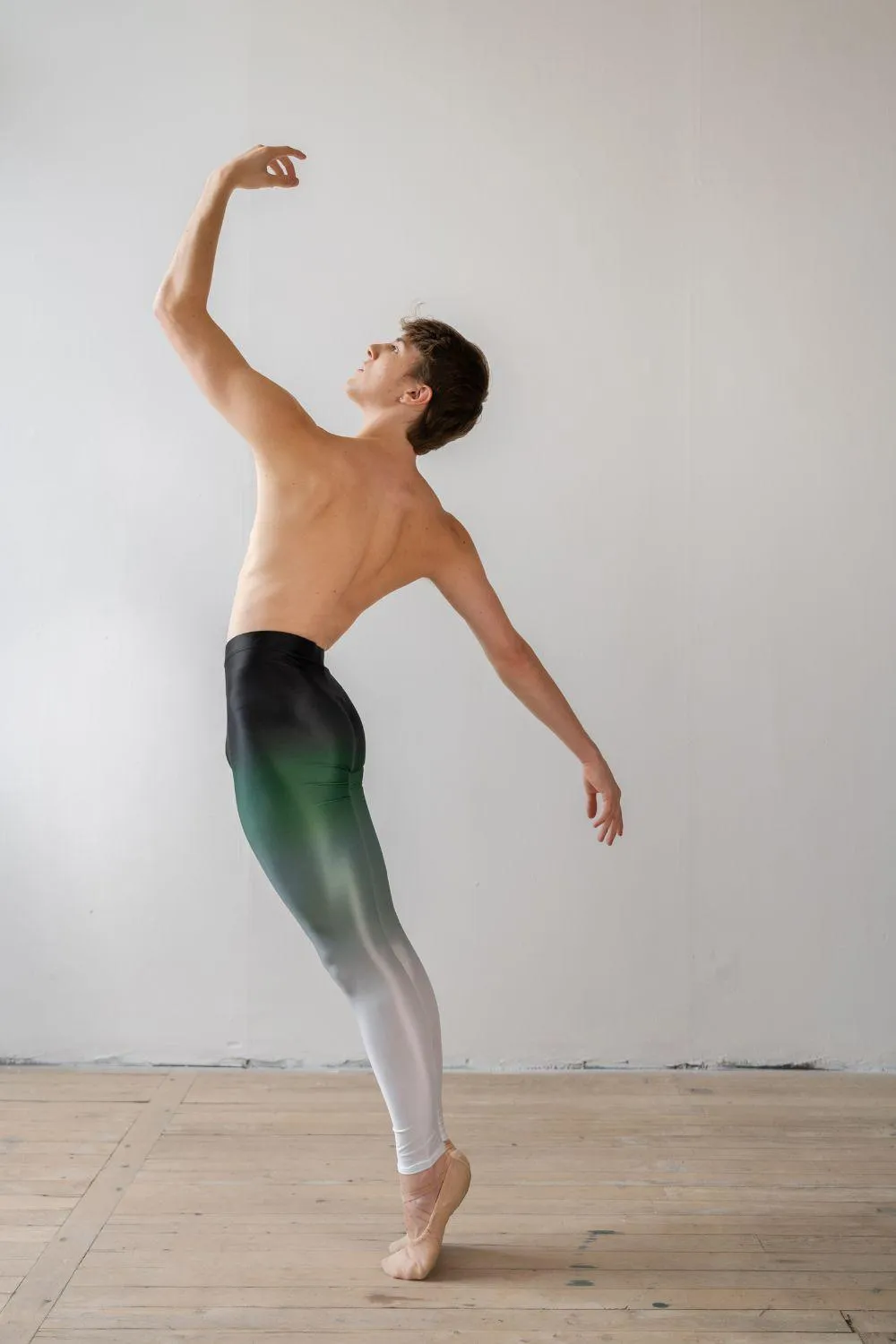 Men's Po Delta Dance Tights - Forest Ombré
